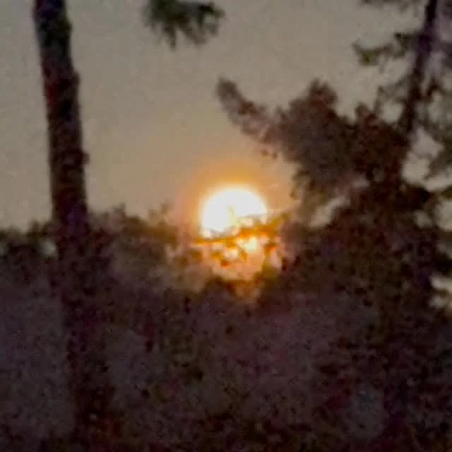 The video from Aug 9 isn’t much, but it is memorable to watch the full moon rise… Reference Paul Bowles, The Sheltering Sky- “How many more times will you watch the full moon rise?”
The novel and quote is referenced in Coin, Unthunk’s album about an imagined suicide cult. The audio clip is from the album. Follow links in bio for further info.
.
#postrock 
#avantpop 
#chamberpop #modernclassical #indiemusic #modalcounterpoint #modularsynthesizer #modularsynth #moon