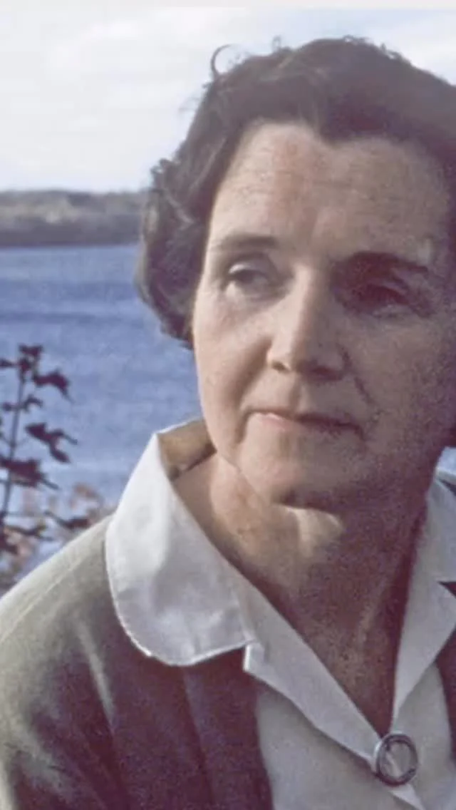 Rachel Carson, mid-century American marine biologist and founder of the environmental movement, is honoured in the upcoming Unthunk release. Details in bio link.
.
#avantpop #postrock #chamberpop #modernclassical #indiemusic #modalcounterpoint #modularsynth #modularsynthesizer #rachelcarson #environmental #ocean