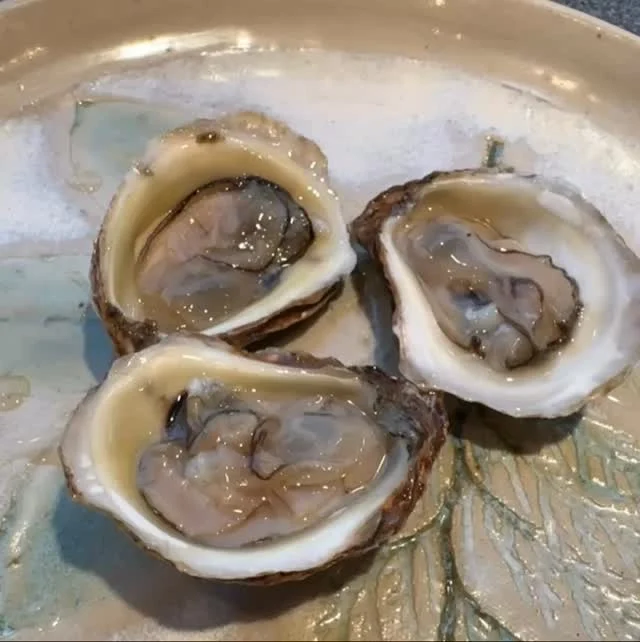 Ocean’s kiss: a slurp of oyster brine.
Rachel Carson loved the sea; the molluscs bequeath their gratitude.
.
The Mid-Century Molluscs perform Unthunk’s Return to the sea. Updated details in the bio link.
.
#avantpop #postrock #chamberpop #modernclassical #indiemusic #modalcounterpoint #modularsynth #eurorack #rachelcarson #oysters #mollusc