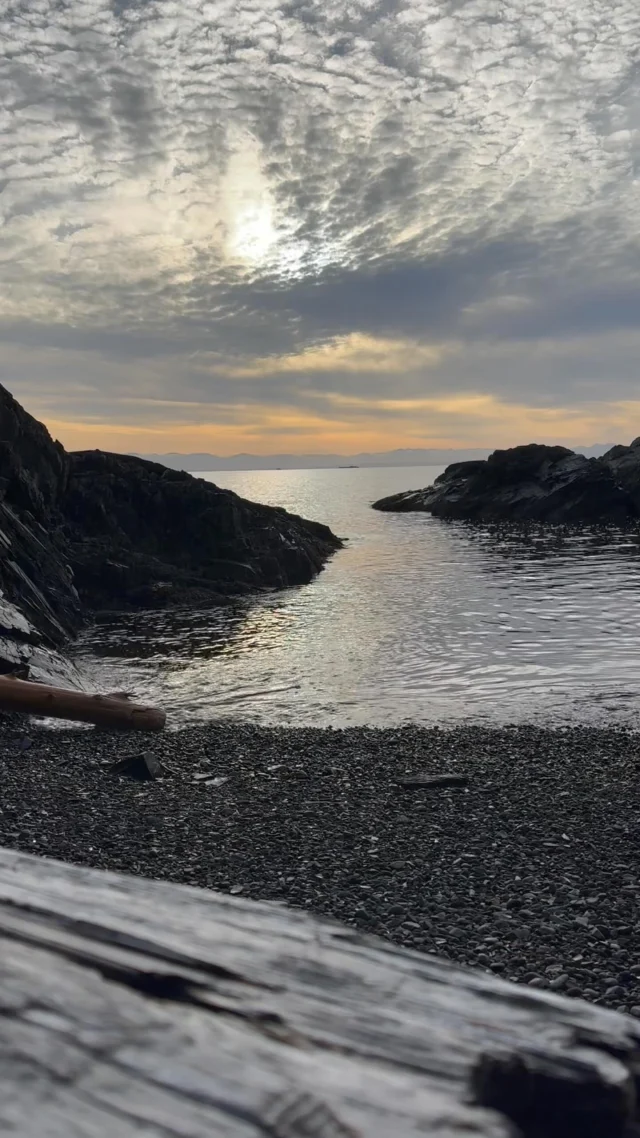 The Mid-Century-Molluscs perform Unthunk’s “Return to the sea”.
.
Preview track for the album paying tribute to Rachel Carson available on Bandcamp- follow links in bio to have a listen.
.
#avantpop #postrock #chamberpop #modernclassical #indiemusic #modalcounterpoint #modularsynth #eurorack #rachelcarson #ocean