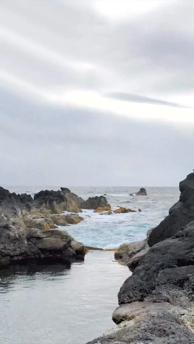 Unthunk is honoured to have a contribution from Giovanni Grandi on The Mid-Century Molluscs perform Unthunk’s “Return to the sea”. While on vacation in the Azores, Giovanni settled into a secluded rocky bay, absorbing the ocean sounds to conceive a suitable piece. 

While originally envisioning his modular synthesizer, heavily filtered, to express the ocean’s power as heard deep within its depths, the piece evolved to include surface sounds of drips and wind and creaking decks. To incorporate the expanded perspective, Giovanni brought his vintage button accordion into the mix, evocative of pirate ships and sea shanties. The two instruments are integrated, with accordion mechanics invoking the creaking ship, and its drones processed and combined with his synth using ring modulation and filtering. The intermittent, thunderous low accordion drone supports his original conception.

The accordion’s modal melodies are appropriate to Unthunk’s early music roots, while the spacious and imaginative treatment is uniquely Giovanni Grandi. Enjoy the the Sea shanty as a special preview track on Bandcamp. The full album is available January 11, 2026. Follow bio links for more details.