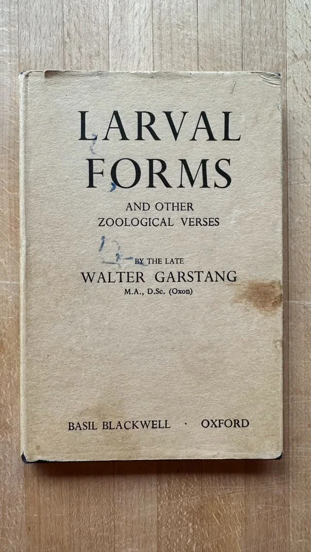 Unbelievably thoughtful and appropriate. At our recent album release party, a friend brought a mid-century copy of Larval Forms as a hostess gift. Who knew that a marine biologist might honour his creatures - including molluscs - in verse? Just finished reading it aloud as bedtime stories- so touching! Thank-you Jody! 

Follow the bio link to learn what molluscs have to do with music… and to listen to The Mid-Century Molluscs perform Unthunk’s “Return to the sea”

#avantpop #postrock #molluscs #rachelcarson #indiemusic