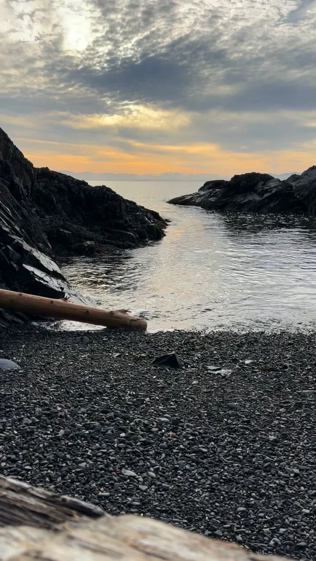 Gentle swell winds through the rocks to shore
.
Except of “Swell” from The Mid-Century Molluscs perform Unthunk’s “Return to the sea”
Details in bio link
.
#avantpop #postrock #chamberpop #modularsynth #indiemusic